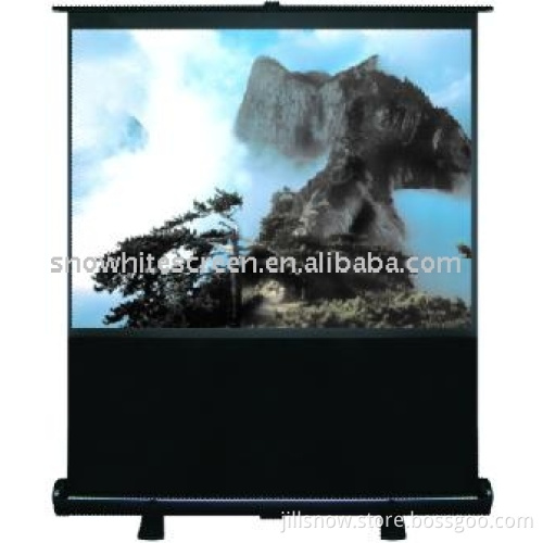 Floor Screens
